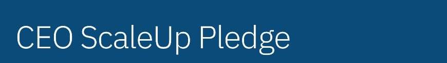 DE&I ScaleUp CEO Pledge